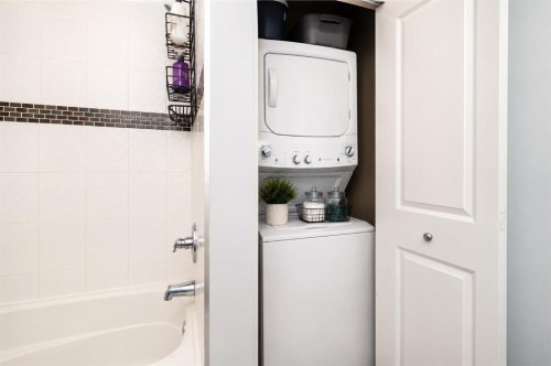 8112-403 Mackenzie Way Se, Airdrie, AB - Indoor Photo Showing Laundry Room