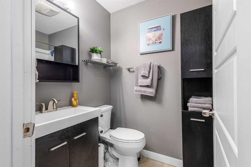 149 Taradale Close Ne, Calgary, AB - Indoor Photo Showing Bathroom