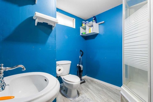 149 Taradale Close Ne, Calgary, AB - Indoor Photo Showing Bathroom