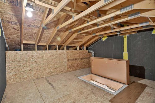 75 Auburn Bay Street Se, Calgary, AB - Indoor Photo Showing Basement