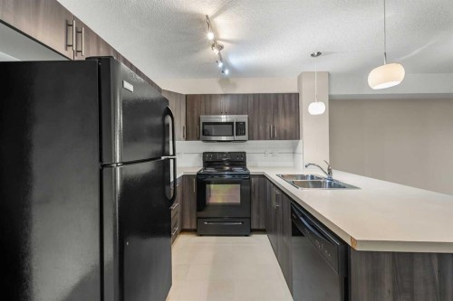 212-2300 Evanston Square Nw, Calgary, AB - Indoor Photo Showing Kitchen With Double Sink
