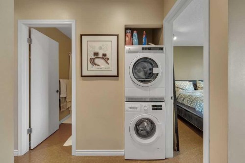 302-1513 26 Avenue Sw, Calgary, AB - Indoor Photo Showing Laundry Room