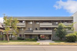 302-1513 26 Avenue SW Calgary, AB T2T 1C4