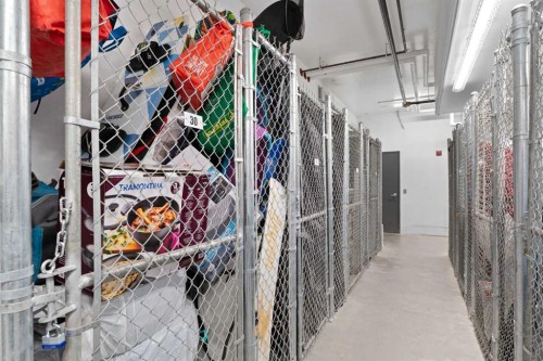 1112-81 Arbour Lake View Nw, Calgary, AB - Indoor With Storage