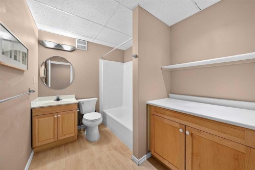 78 Hampstead View Nw, Calgary, AB - Indoor Photo Showing Bathroom