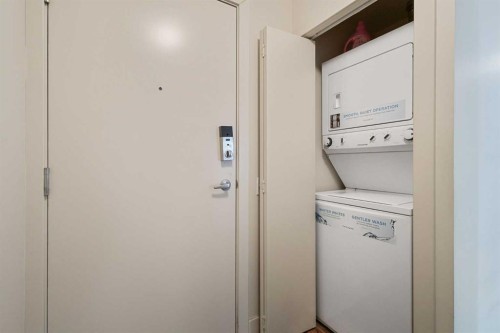 221-955 Mcpherson Road Ne, Calgary, AB - Indoor Photo Showing Laundry Room