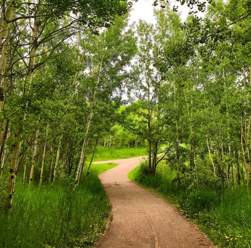 313-25 Aspenmont Heights Sw, Calgary, AB - Outdoor With Body Of Water With View