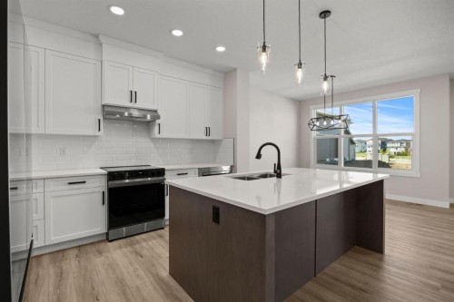 435 Kinniburgh Loop, Chestermere, AB - Indoor Photo Showing Kitchen With Double Sink With Upgraded Kitchen