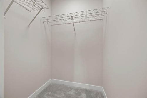 435 Kinniburgh Loop, Chestermere, AB - Indoor With Storage