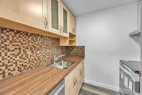 1-8112 36 Avenue Nw, Calgary, AB - Indoor Photo Showing Kitchen With Double Sink