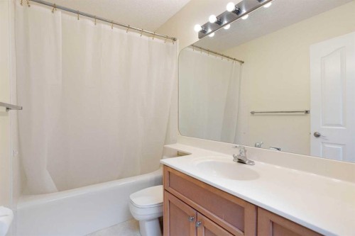 3414 Douglasdale Boulevard Se, Calgary, AB - Indoor Photo Showing Bathroom