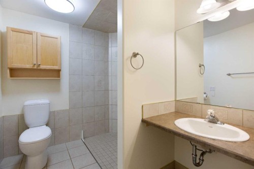 3414 Douglasdale Boulevard Se, Calgary, AB - Indoor Photo Showing Bathroom