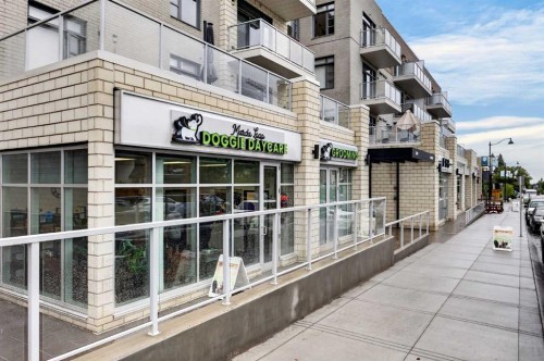 207-3450 19 Street Sw, Calgary, AB - Outdoor With Balcony