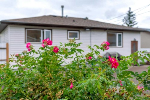 219 Tache Avenue Nw, Calgary, AB - Outdoor