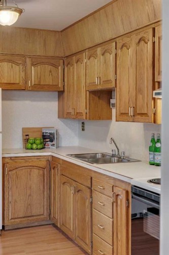 219 Tache Avenue Nw, Calgary, AB - Indoor Photo Showing Kitchen With Double Sink