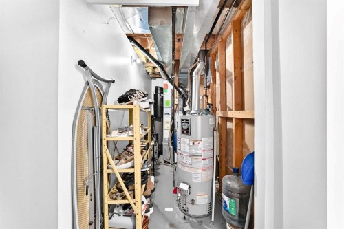 60 Falmere Court Ne, Calgary, AB - Indoor Photo Showing Basement