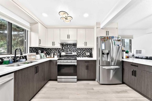 60 Falmere Court Ne, Calgary, AB - Indoor Photo Showing Kitchen With Double Sink