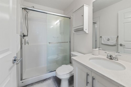 3108-99 Copperstone Park Se, Calgary, AB - Indoor Photo Showing Bathroom