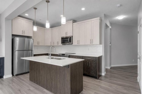 217 Lucas Crescent Nw, Calgary, AB - Indoor Photo Showing Kitchen With Stainless Steel Kitchen With Double Sink With Upgraded Kitchen