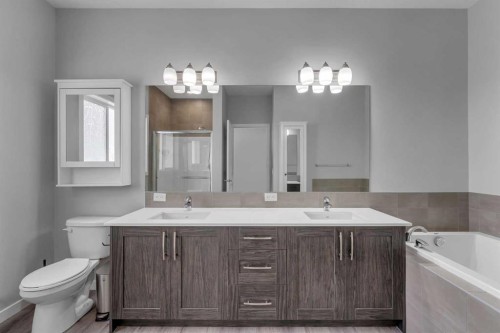 217 Lucas Crescent Nw, Calgary, AB - Indoor Photo Showing Bathroom