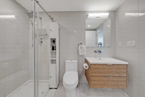 307-1020 9 Avenue Se, Calgary, AB - Indoor Photo Showing Bathroom