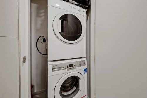 307-1020 9 Avenue Se, Calgary, AB - Indoor Photo Showing Laundry Room