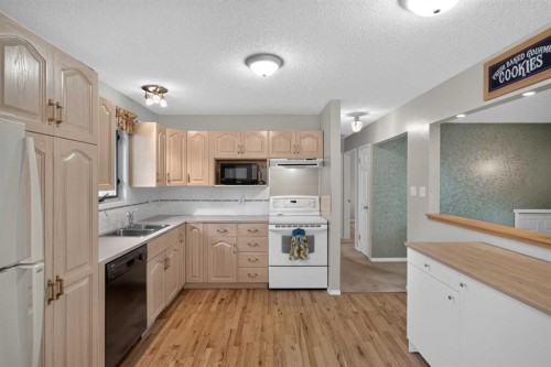 152 Maddock Way Ne, Calgary, AB - Indoor Photo Showing Kitchen With Double Sink