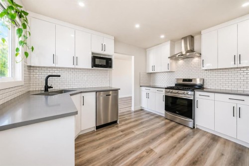 204 Whiteview Close Ne, Calgary, AB - Indoor Photo Showing Kitchen With Double Sink With Upgraded Kitchen