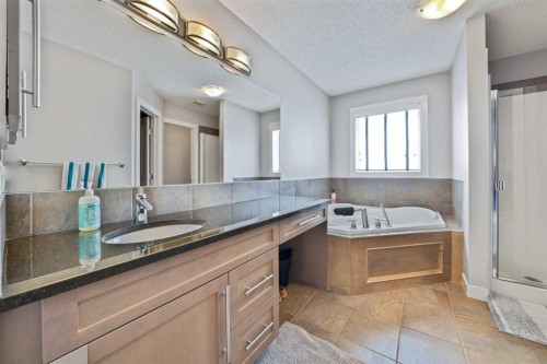 109 Seagreen Link, Chestermere, AB - Indoor Photo Showing Bathroom