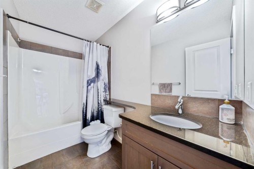 109 Seagreen Link, Chestermere, AB - Indoor Photo Showing Bathroom