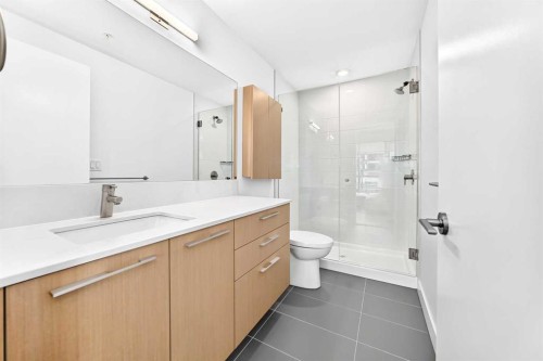 323-88 9 Street Ne, Calgary, AB - Indoor Photo Showing Bathroom