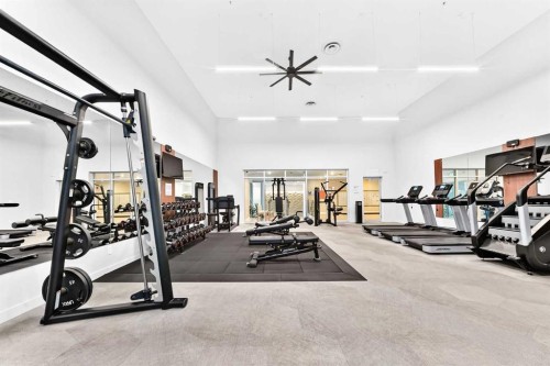 323-88 9 Street Ne, Calgary, AB - Indoor Photo Showing Gym Room