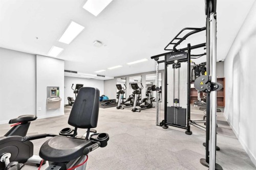 323-88 9 Street Ne, Calgary, AB - Indoor Photo Showing Gym Room