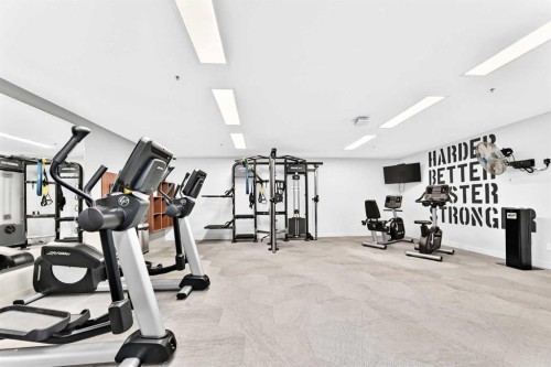 323-88 9 Street Ne, Calgary, AB - Indoor Photo Showing Gym Room