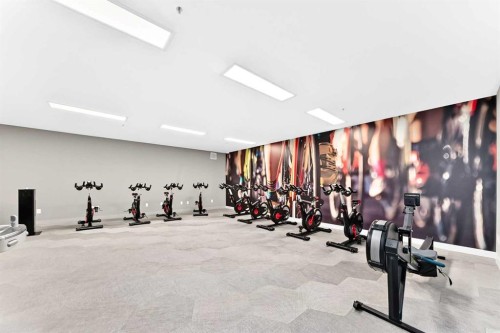 323-88 9 Street Ne, Calgary, AB - Indoor Photo Showing Gym Room