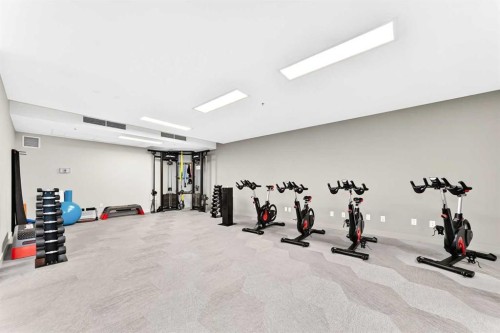 323-88 9 Street Ne, Calgary, AB - Indoor Photo Showing Gym Room