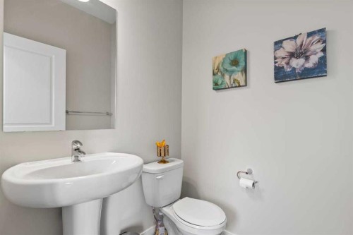 111 Hillcrest Close Sw, Airdrie, AB - Indoor Photo Showing Bathroom