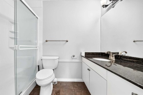 337 Harvest Lake Green Ne, Calgary, AB - Indoor Photo Showing Bathroom