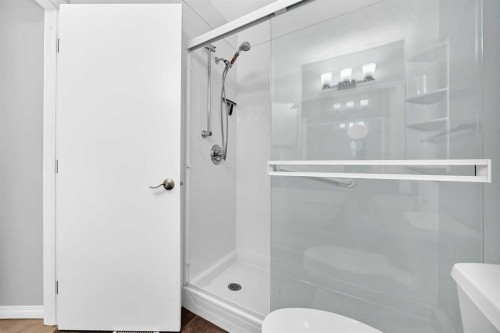 337 Harvest Lake Green Ne, Calgary, AB - Indoor Photo Showing Bathroom
