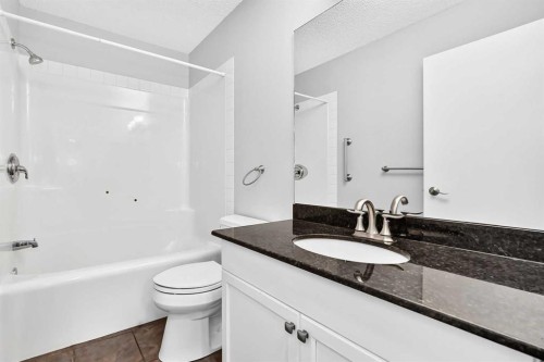 337 Harvest Lake Green Ne, Calgary, AB - Indoor Photo Showing Bathroom