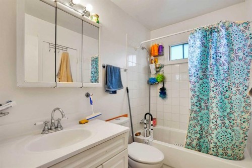 6515 Martingrove Drive Ne, Calgary, AB - Indoor Photo Showing Bathroom