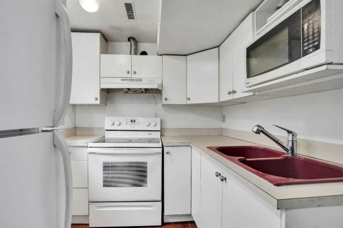 6515 Martingrove Drive Ne, Calgary, AB - Indoor Photo Showing Kitchen With Double Sink
