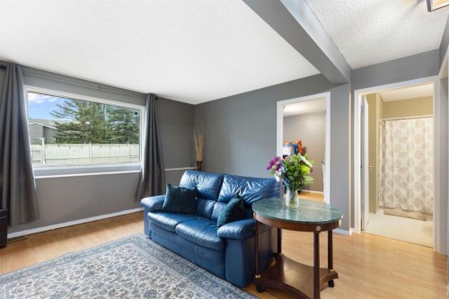 176 Riverbend Drive Se, Calgary, AB - Indoor Photo Showing Living Room
