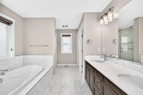 143 Stonemere Green, Chestermere, AB - Indoor Photo Showing Bathroom