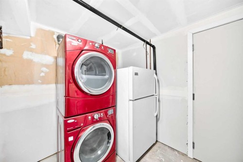 42 Rundlelawn Close Ne, Calgary, AB - Indoor Photo Showing Laundry Room