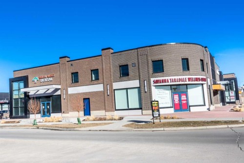115 Savanna Parade Ne, Calgary, AB 