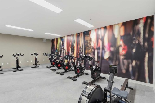 628-88 9 Street Ne, Calgary, AB - Indoor Photo Showing Gym Room
