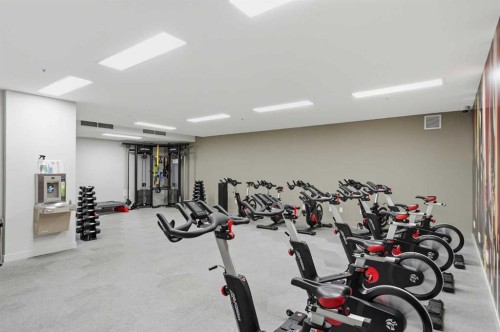 628-88 9 Street Ne, Calgary, AB - Indoor Photo Showing Gym Room