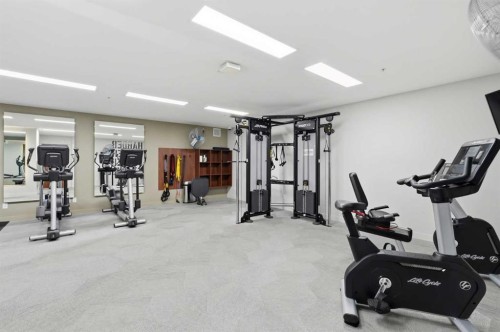 628-88 9 Street Ne, Calgary, AB - Indoor Photo Showing Gym Room