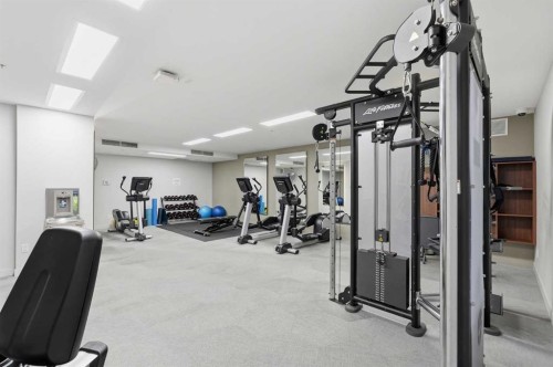 628-88 9 Street Ne, Calgary, AB - Indoor Photo Showing Gym Room